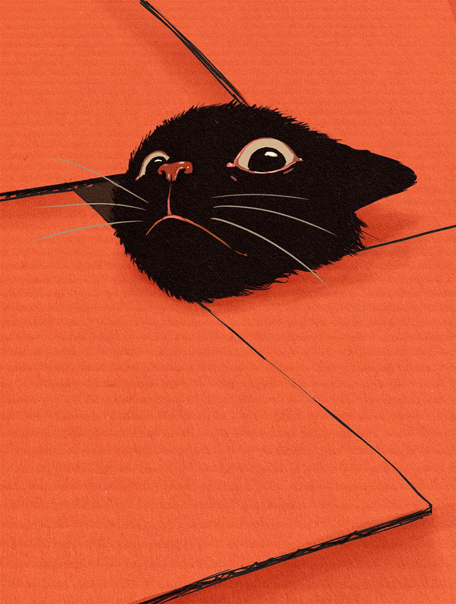 Illustrations