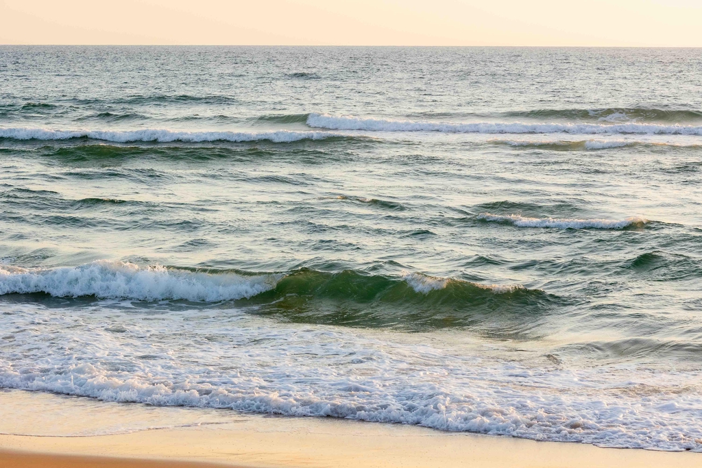 La marque française Sudouestly® est une marque du sud-ouest de la France qui représente les valeurs de la plage, de l'océan et du surf. Cet marque de vêtements a l'esprit libre et s'inspire des vagues de la Côte Atlantique afin de vous styliser après une session surf, pour une journée plage entre amis ou pour des sorties bar le soir au coucher du soleil