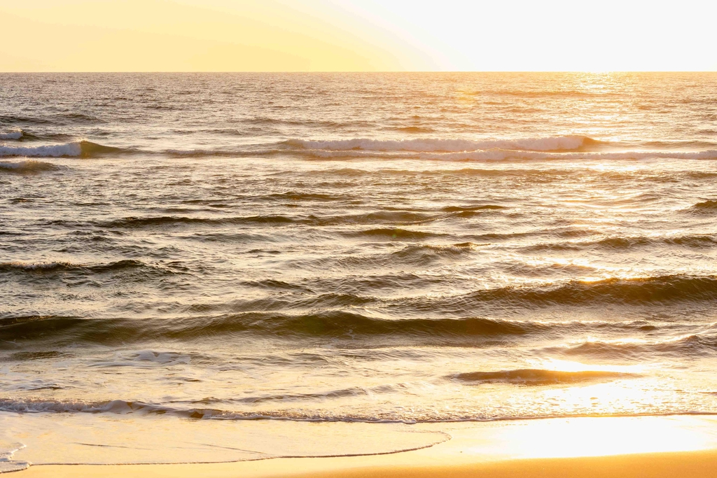 La marque française Sudouestly® est une marque du sud-ouest de la France qui représente les valeurs de la plage, de l'océan et du surf. Cet marque de vêtements a l'esprit libre et s'inspire des vagues de la Côte Atlantique afin de vous styliser après une session surf, pour une journée plage entre amis ou pour des sorties bar le soir au coucher du soleil