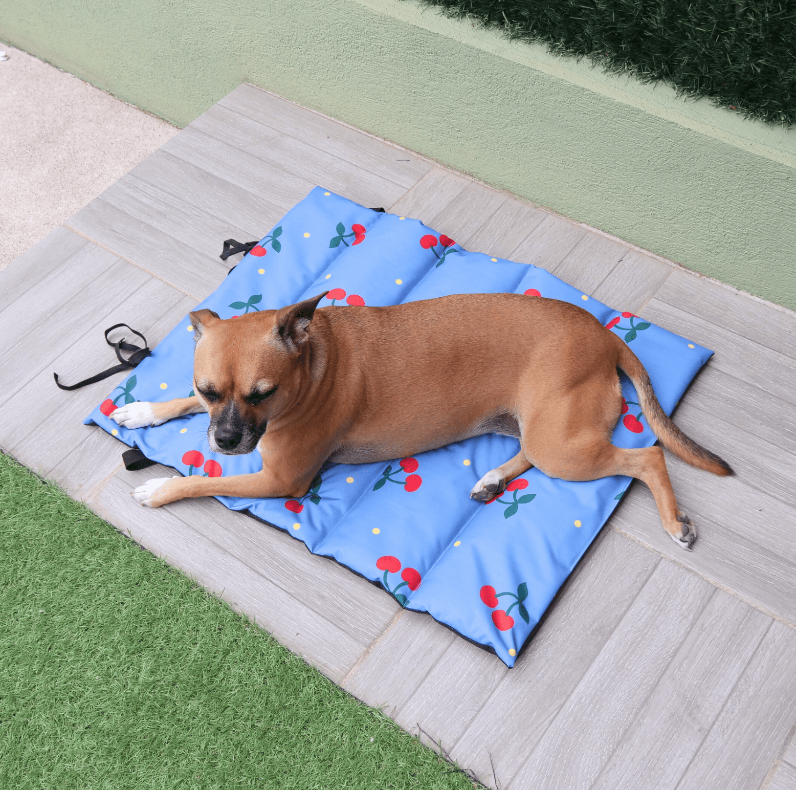 cama portatil my pet atelier