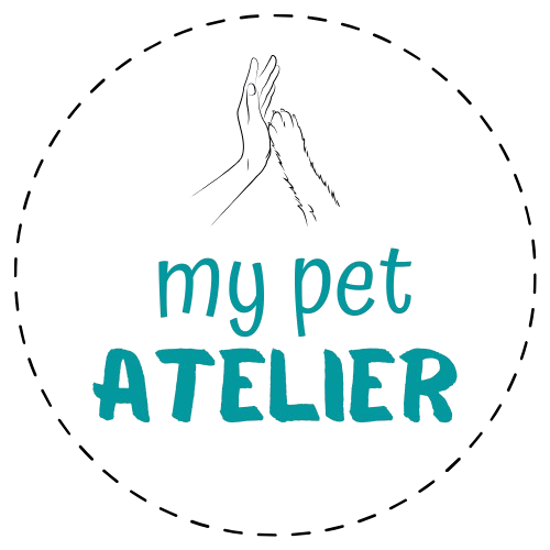 store_logo