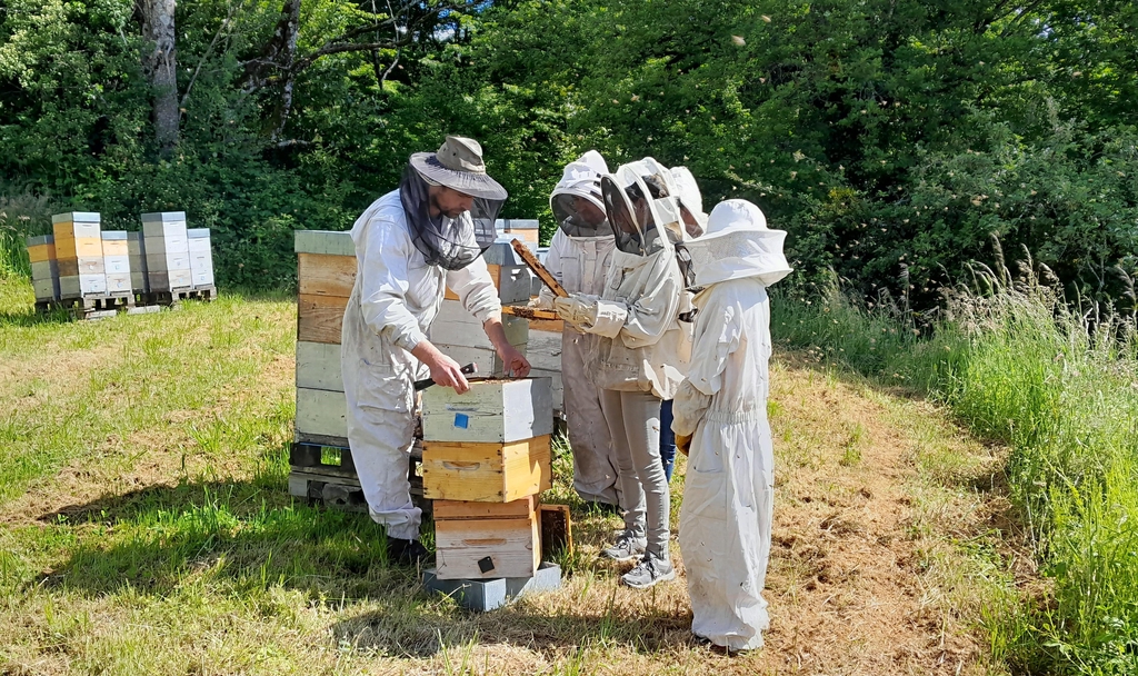 Visites pédagogiques 2026