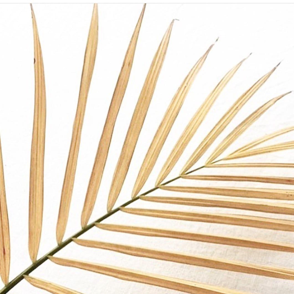banner_image