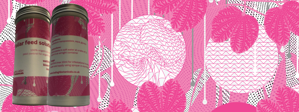 buy foliar feed enhancer