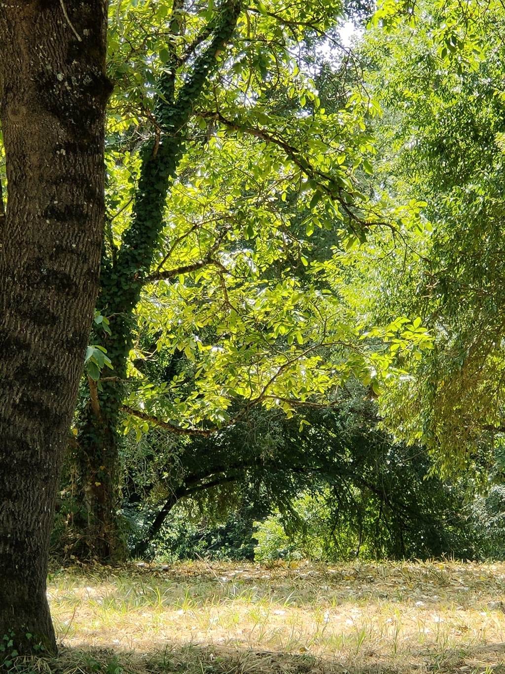 banner_image