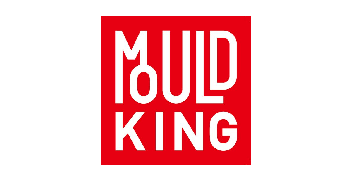 Mould King