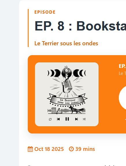 podcast ; littérature ; le terrier sous les ondes ; santé mentale ; étoiles filantes ; critique