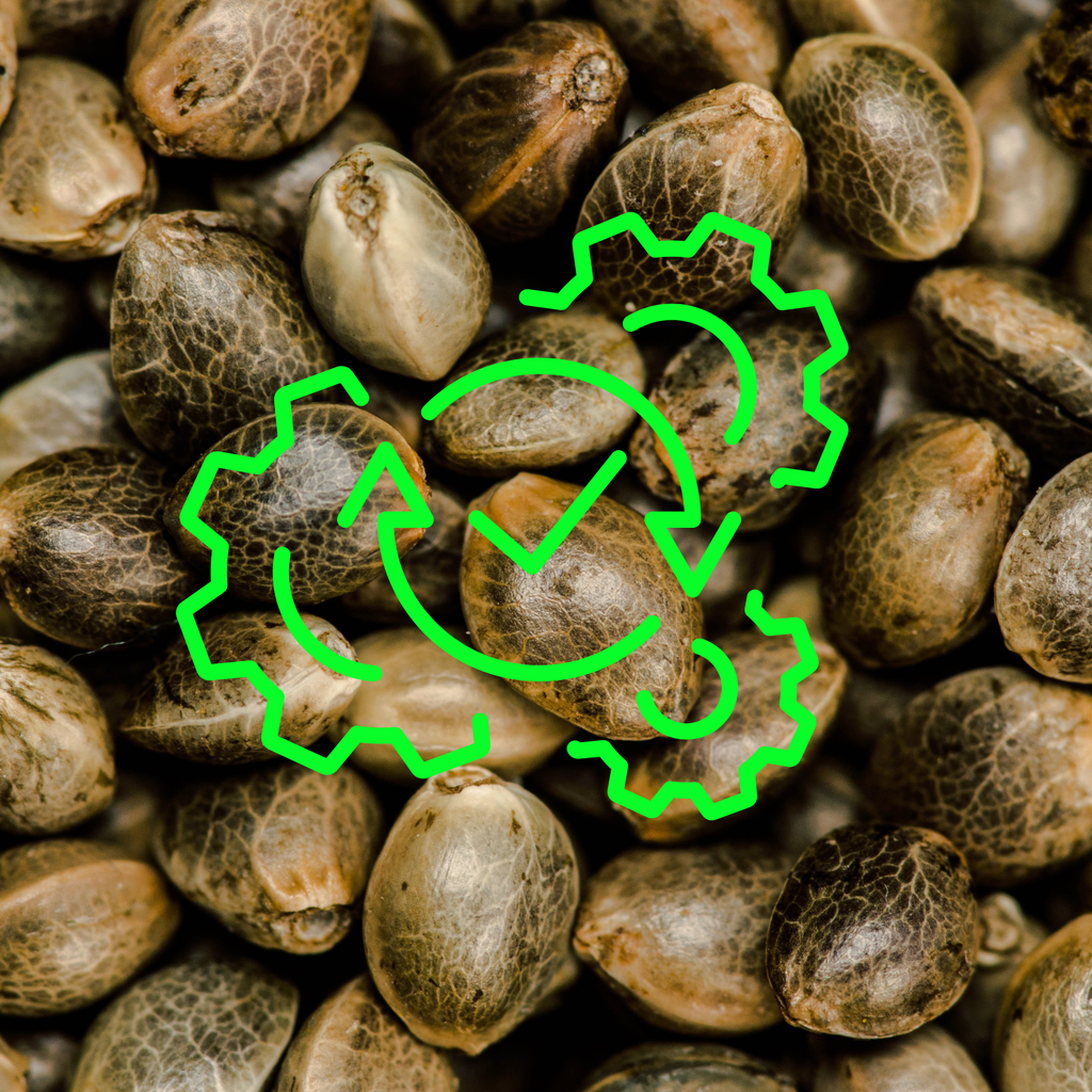 product_list_image_cover