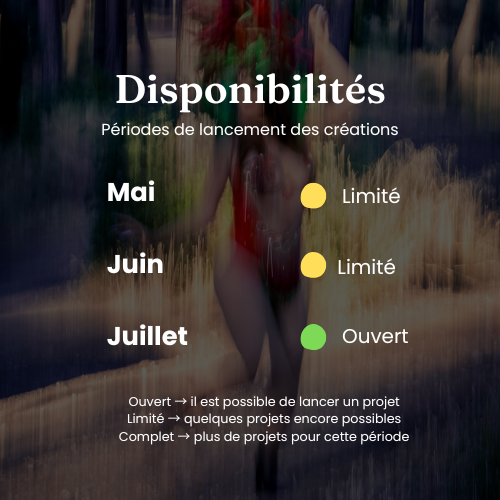 Costume de samba personnalisé. Commandes et réservations.