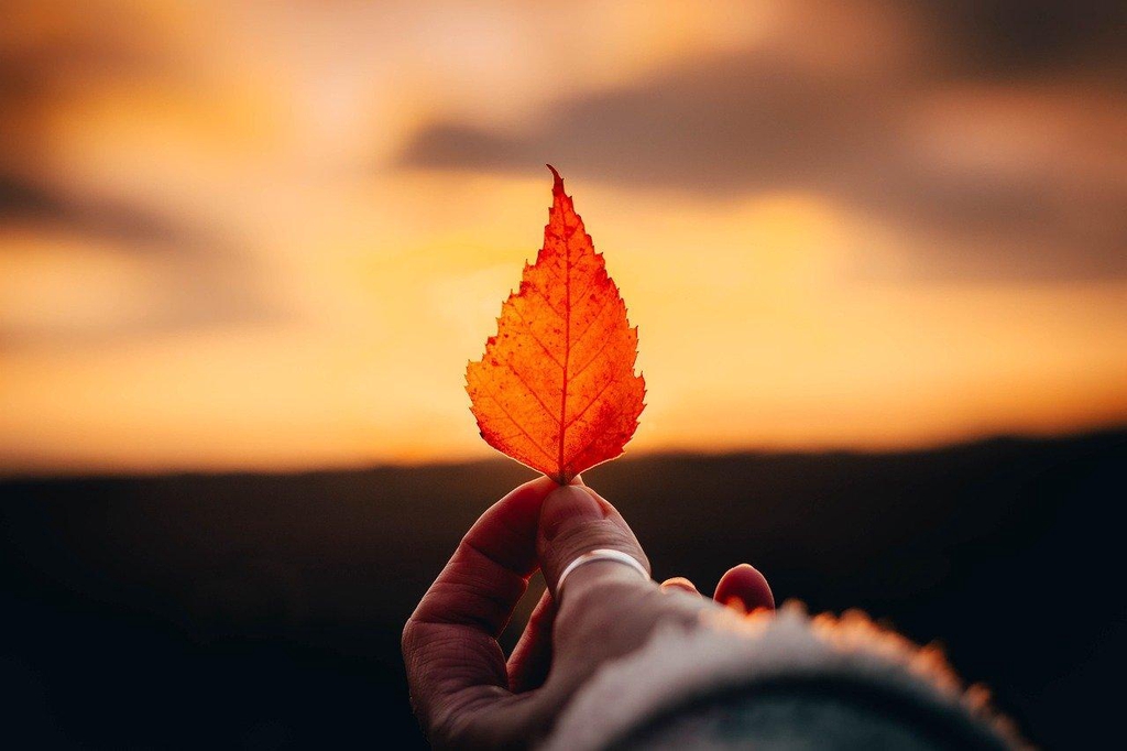 product_list_image_cover