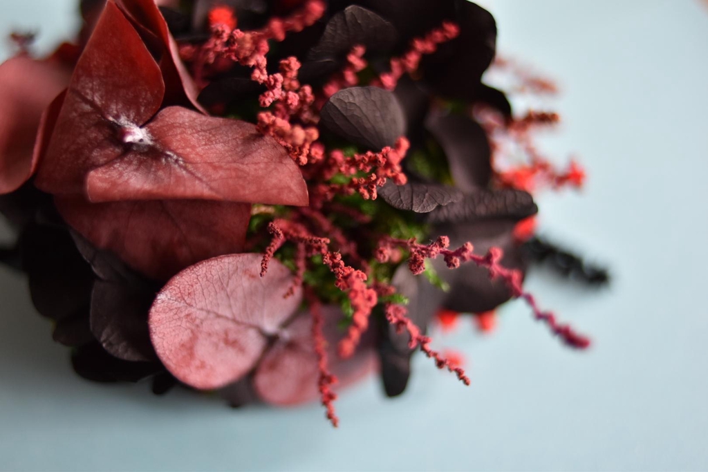 Boutique de création végétale de OAZA signée par l'artiste Carla Nykiel