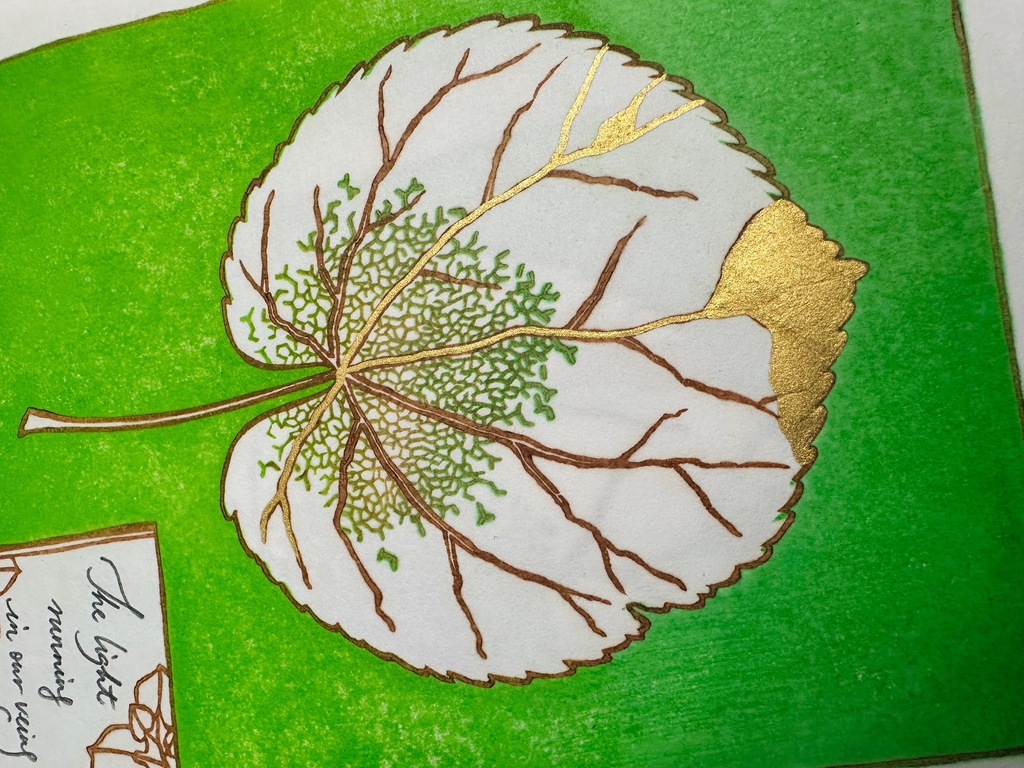 product_list_image_cover