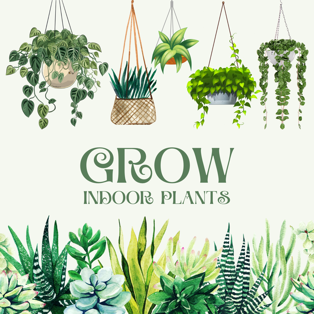 GROW logo - pictures of hanging and standing plants surround green text saying ‘GROW INDOOR PLANTS’.
