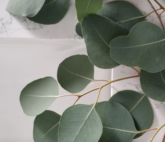 Le problème n'est pas toujours là où le croit !