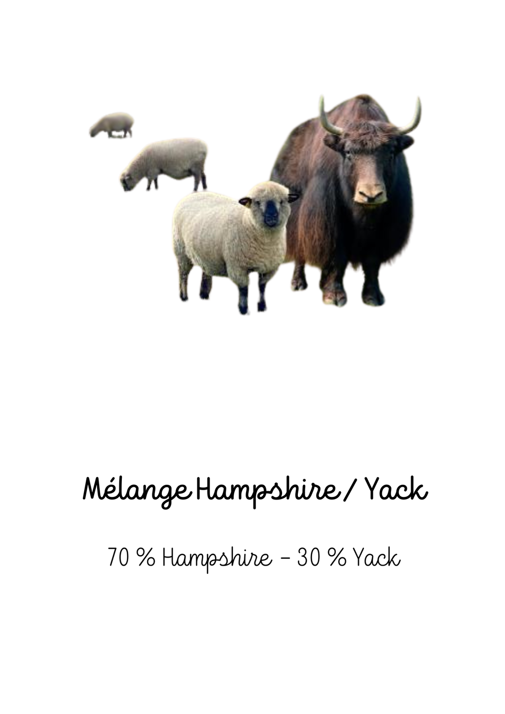 product_list_image_cover