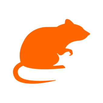 Logo HYGIENE INSECTES représentant un rat, symbole des services de dératisation.