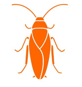 Blatte (cafard) illustrant les services de désinsectisation contre les cafards en Corse.