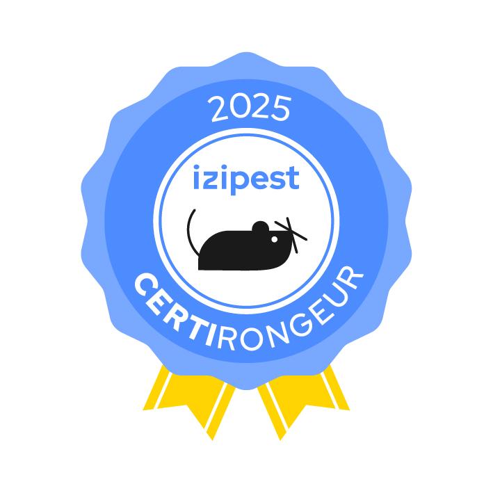 Rat brun illustrant les services de dératisation contre les rats et les souris en Corse.