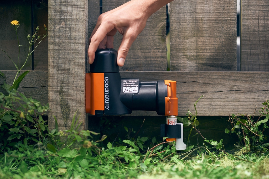 Dératisation sans poison