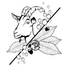 store_logo