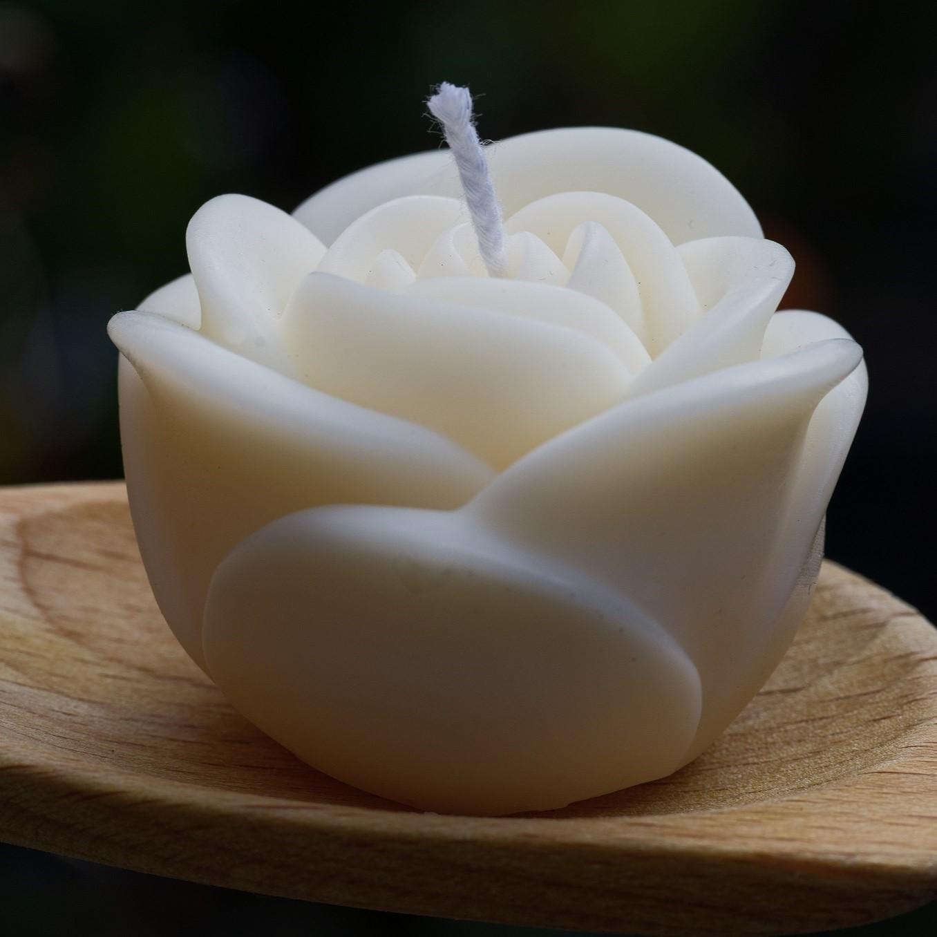 Une histoire de passion

Nouvellement passionnée par la création de bougies artisanales, je vous invite à découvrir le récit de mon parcours.