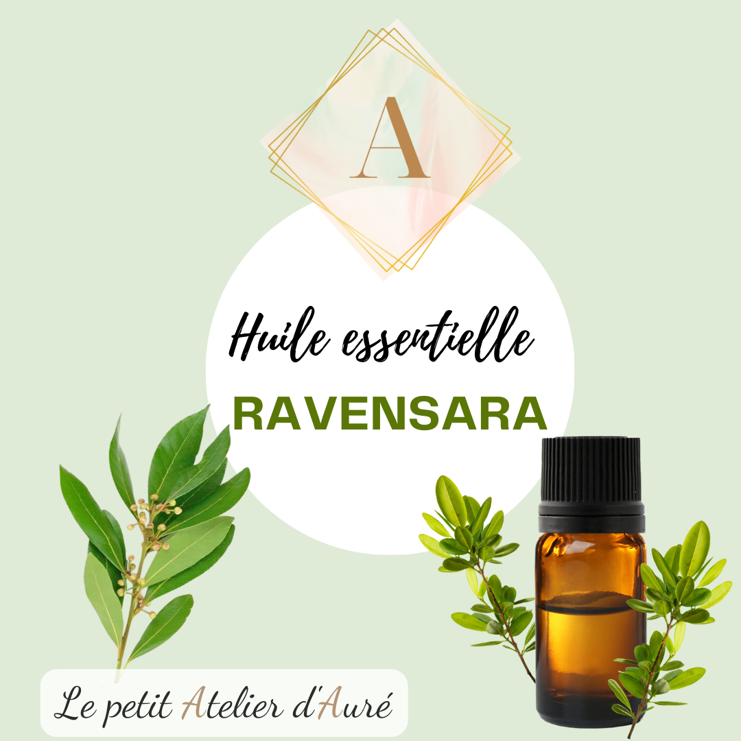 Ravensara
