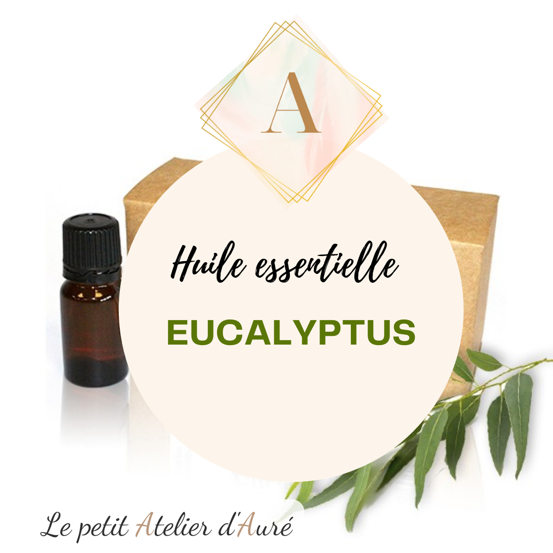 Eucalyptus