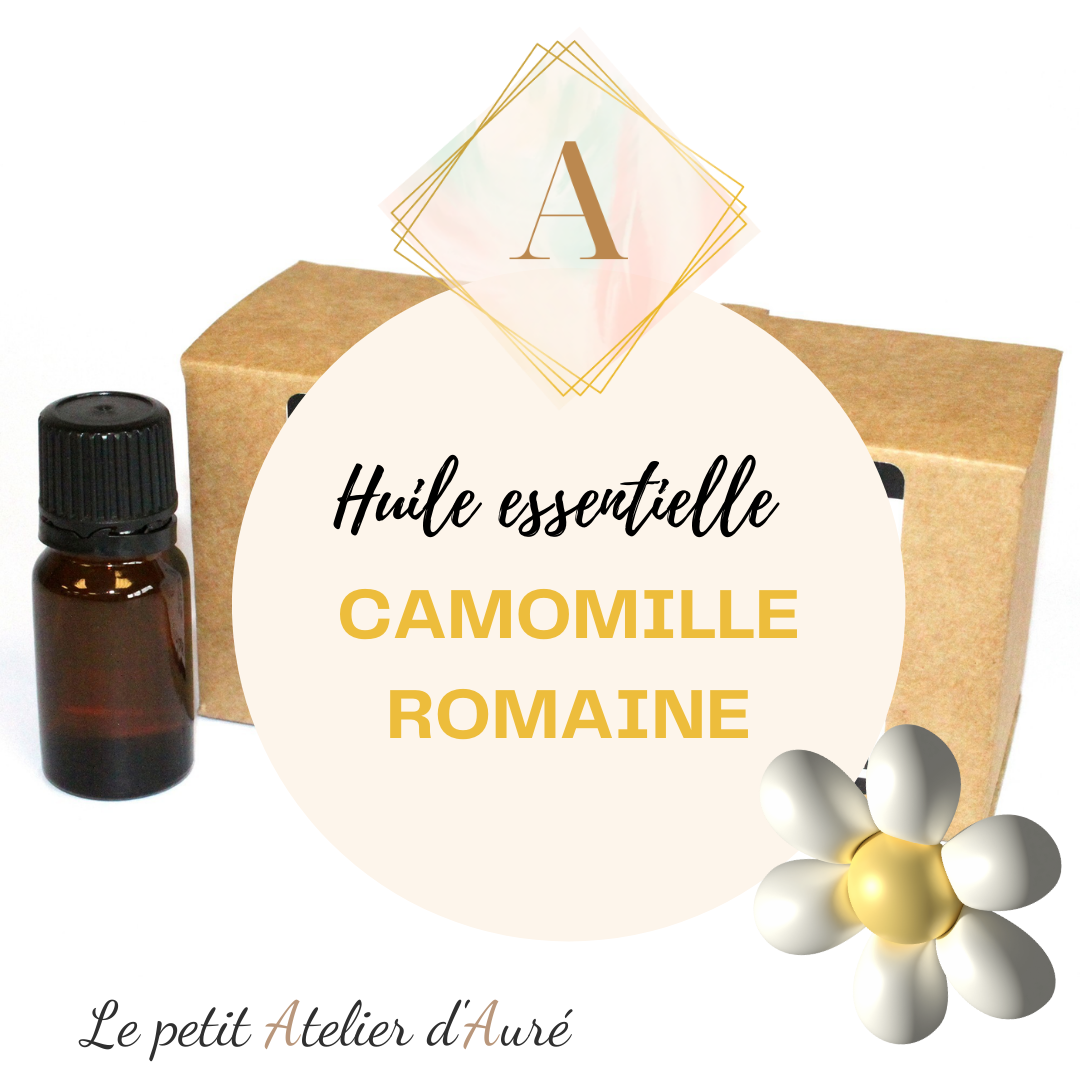 Camomille Romaine