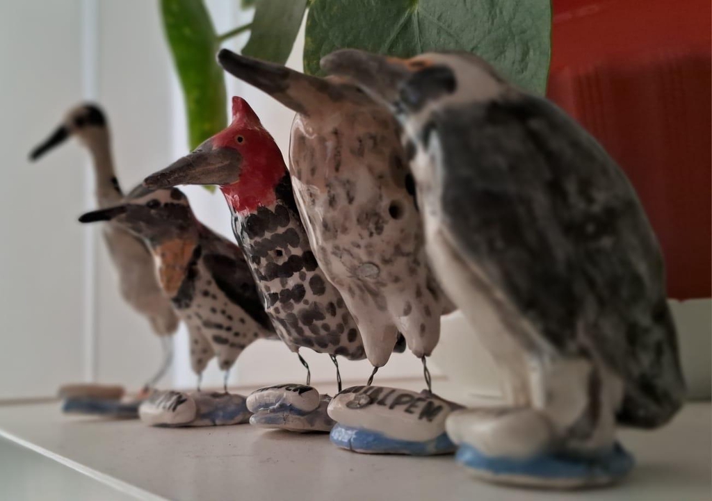 Naturaleza y Hualpen