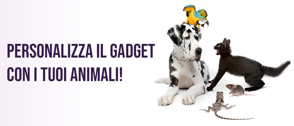Personalizziamo il Gadget del tuo amico a 4 zampe