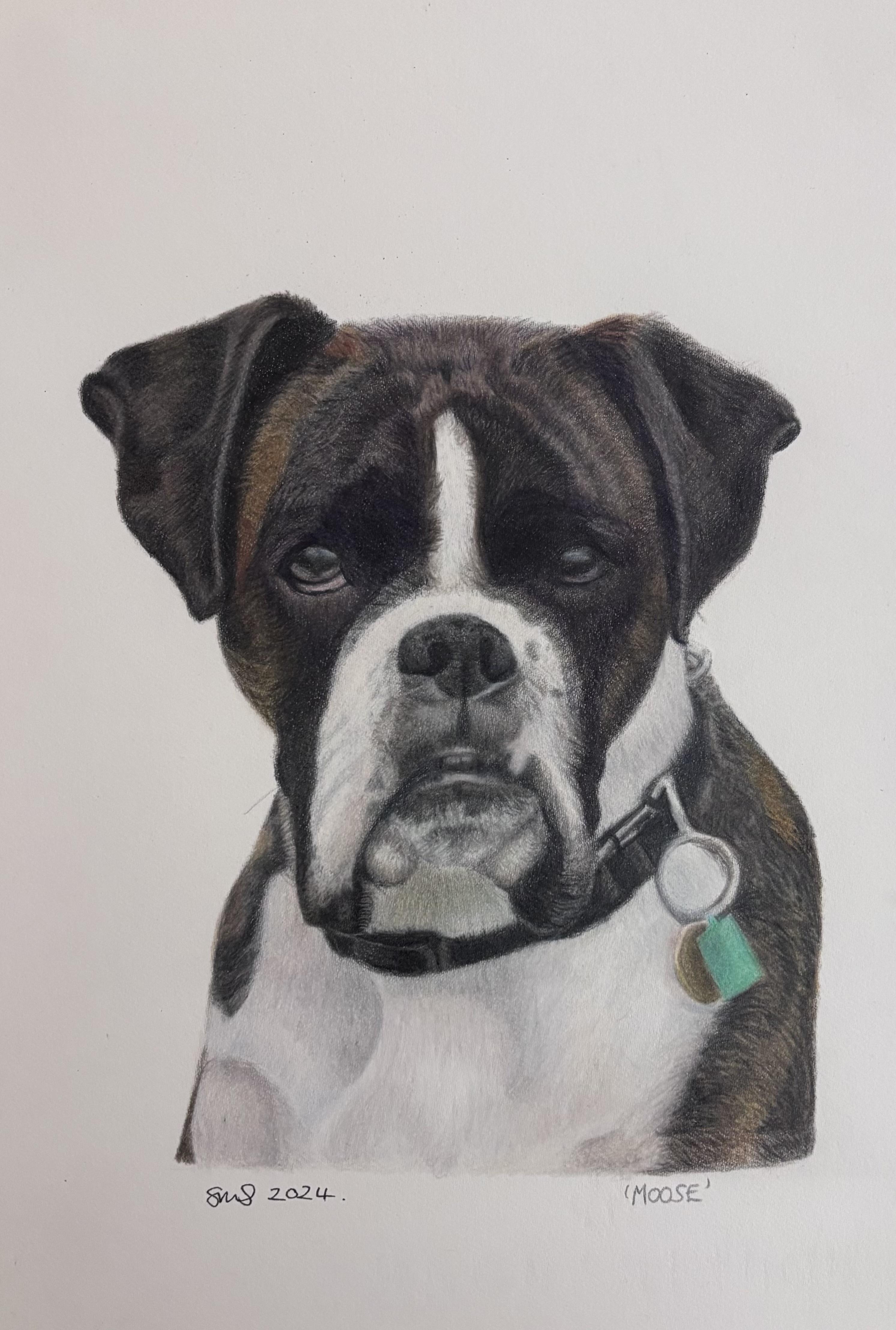 Pawprint Portraits