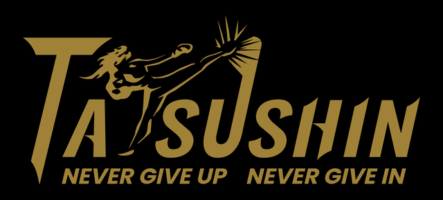 Tatsushin Fight Gear winkel in midden Nederland 