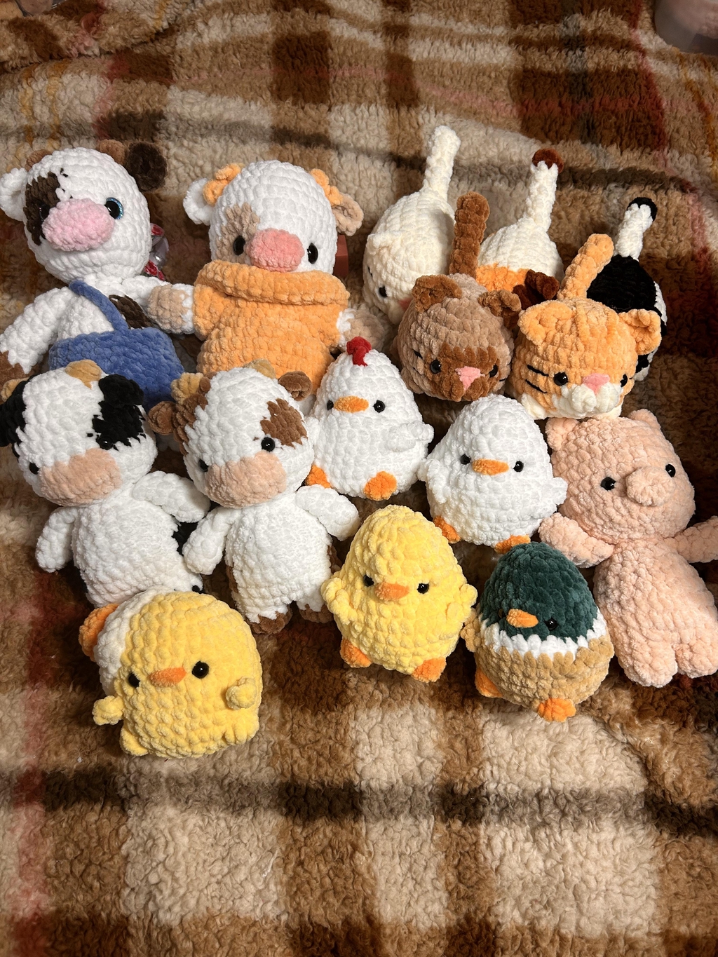 product_list_image_cover