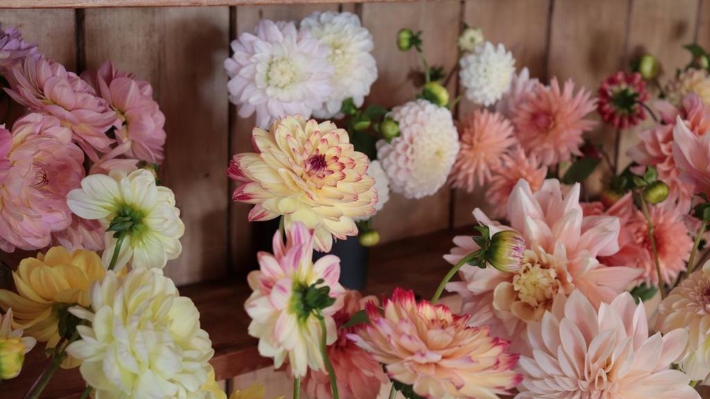 Locally grown fresh flowers and florist, Braunton North Devon