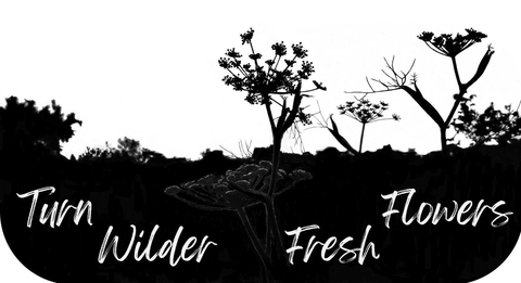 Turn Wilder Fresh Flowers, flower farm and florist