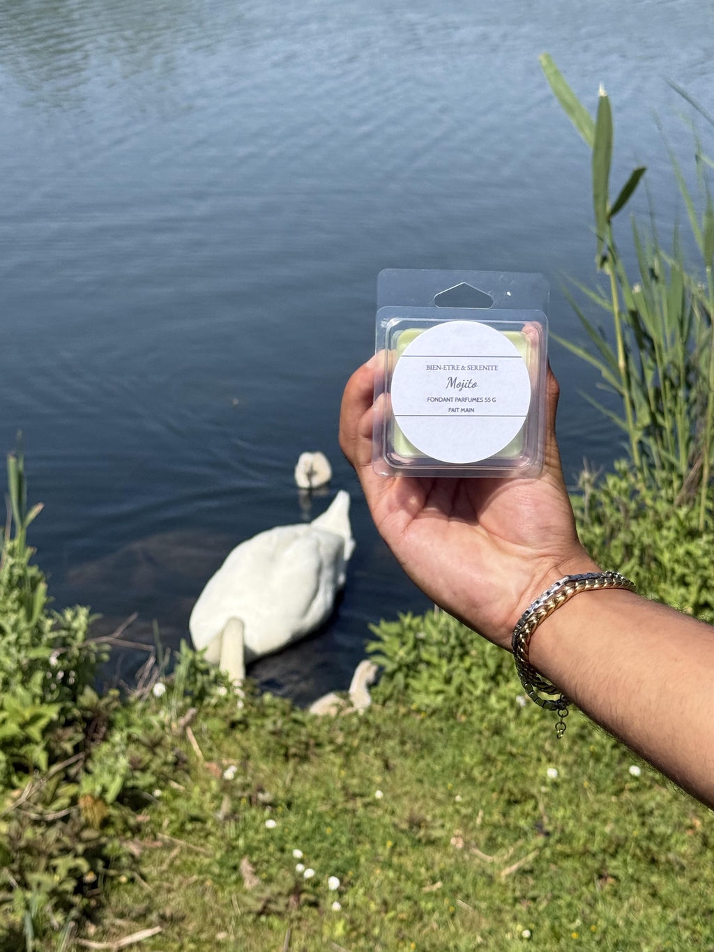 NOUVEAUTÉS D’ÉTÉ 