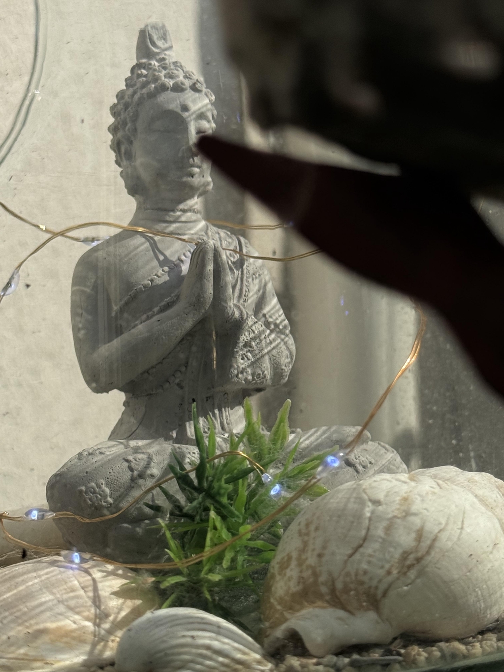 Conseils simples d’utilisation
