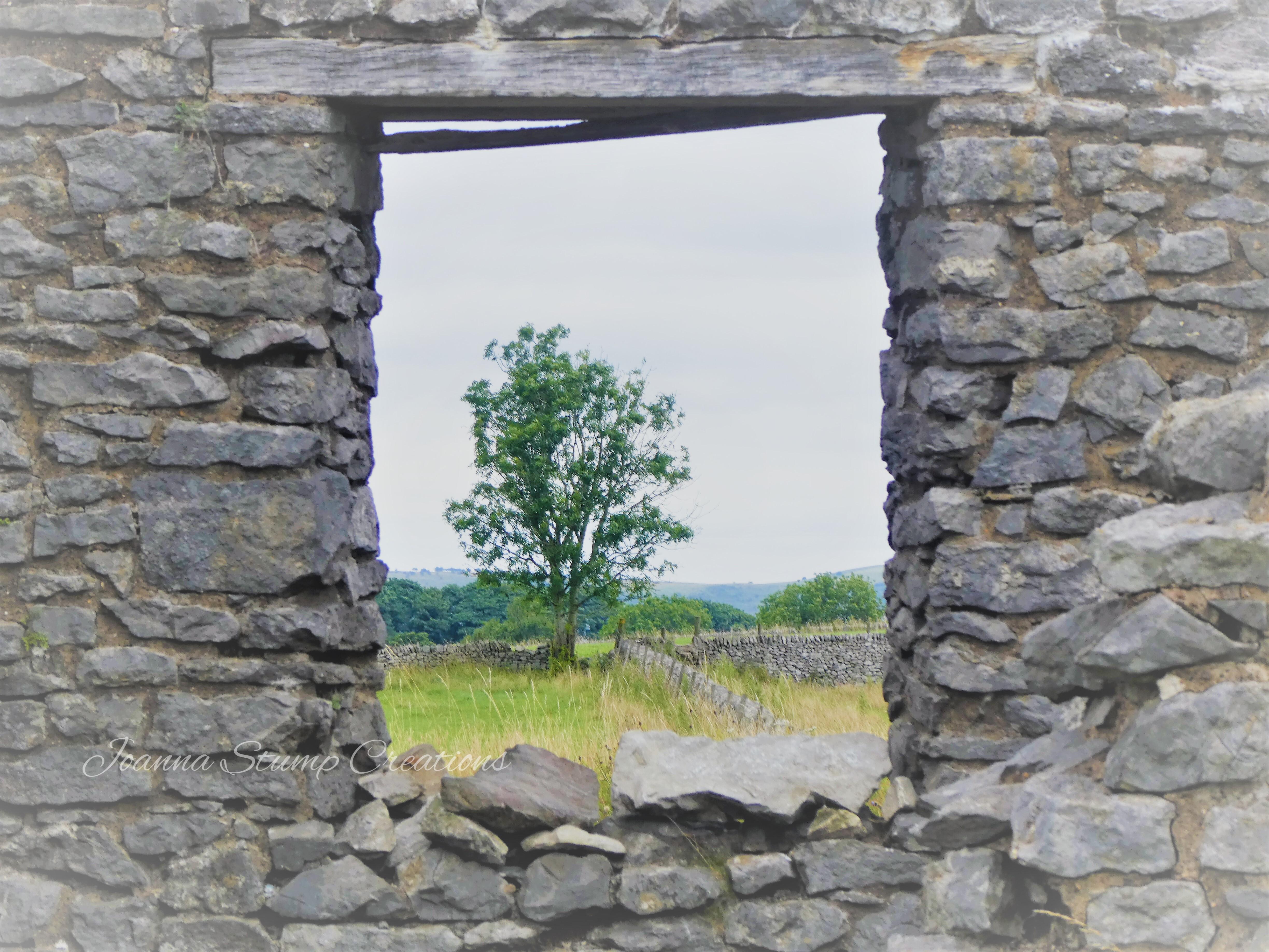 "Magpie View"