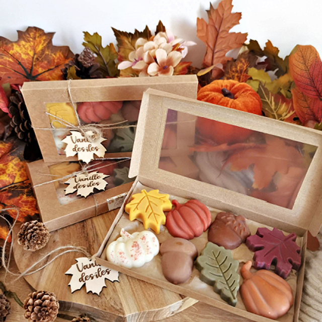 Fondants parfumés automne