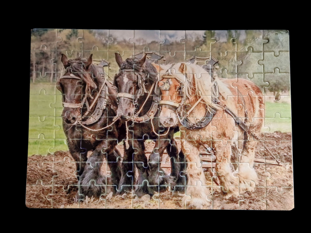 product_list_image_cover