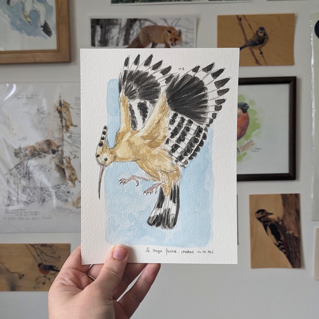 product_list_image_cover