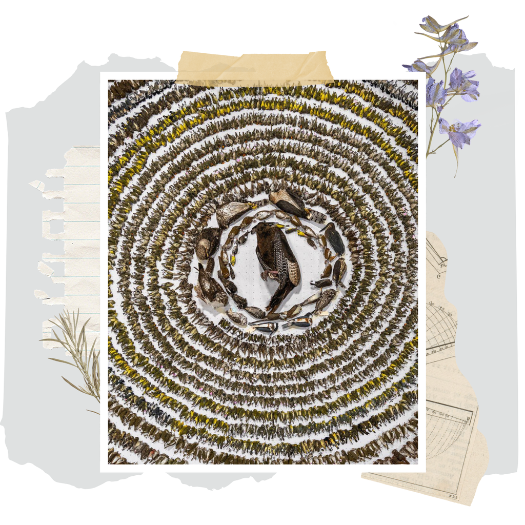 banner_image