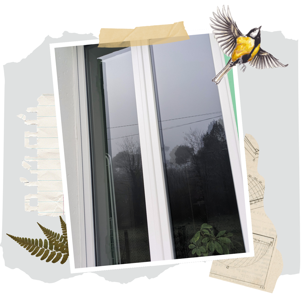 banner_image