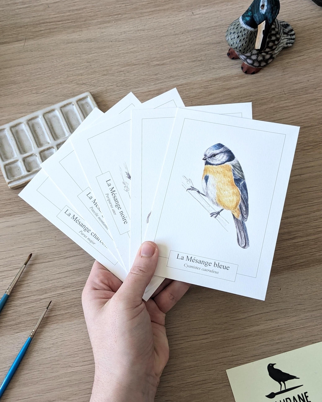 product_list_image_cover