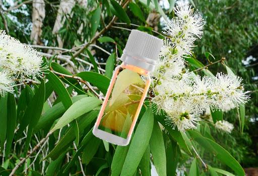 Les huiles essentielles de Madagascar