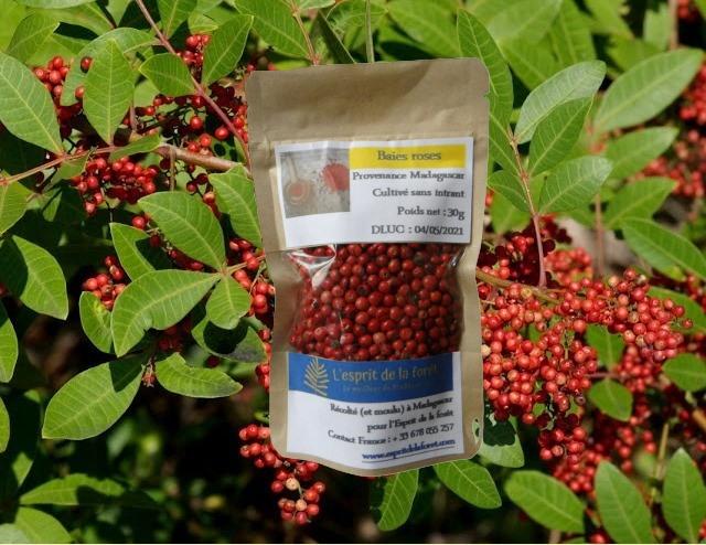 Poivres et Epices de Madagascar 