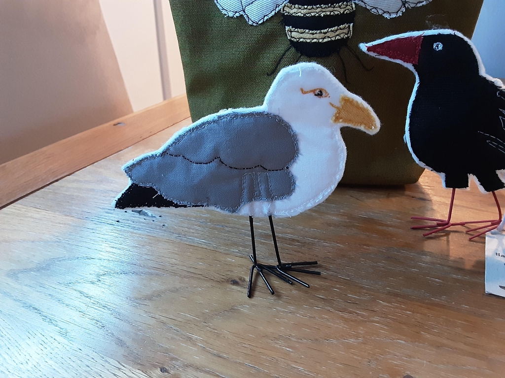 Herring gull