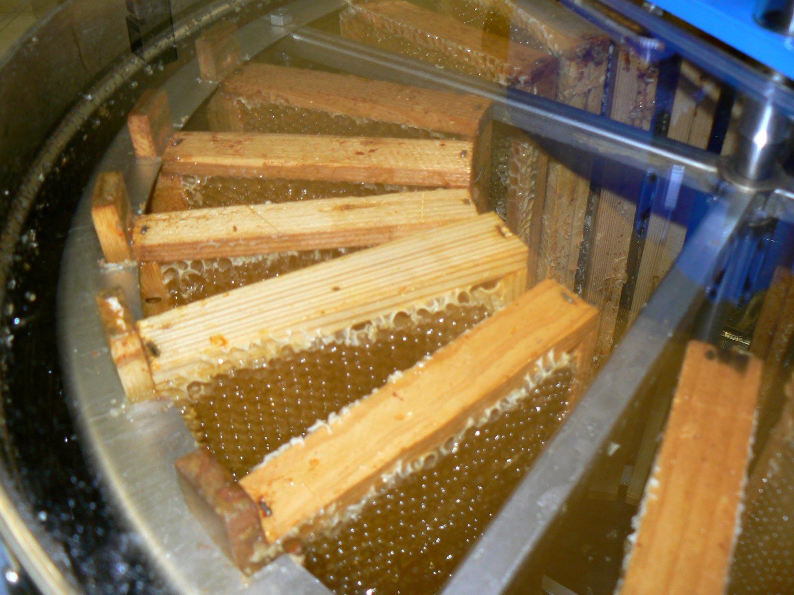 Section image