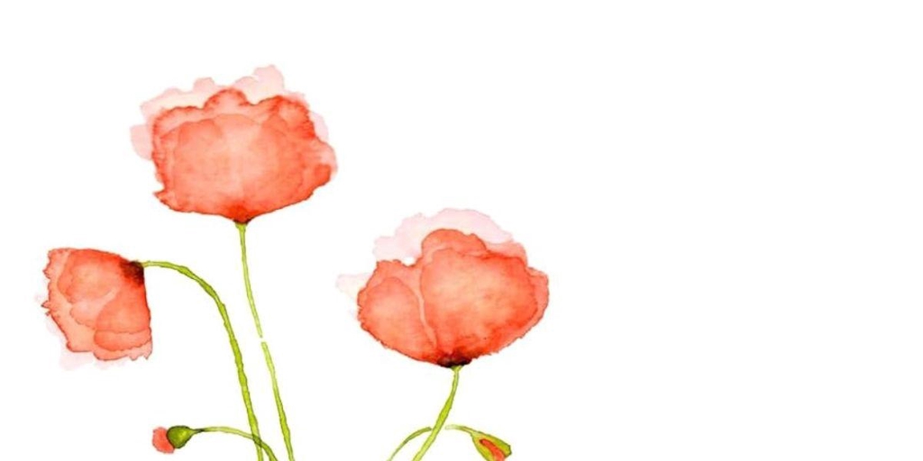 Coquelicots pastel et aquarelle - Collection Histoires de Femmes - Jocelyne Bacquet