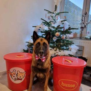Depuis plus de 35 ans, la marque suédoise Husse satisfait tous les chiens et les chats dont les maîtres sont soucieux de Qualité alimentaire. Au prix juste et livraison gratuite !